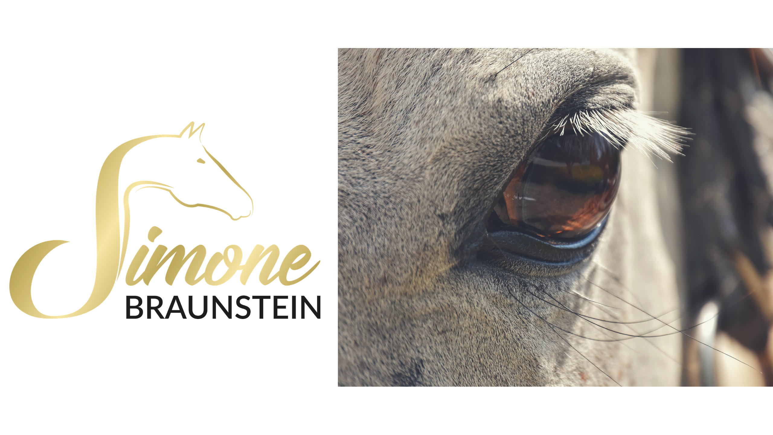 Logo-Banner-7